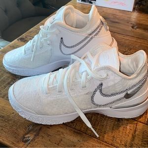 Brand new Lebron James Zoom NXXT Gen